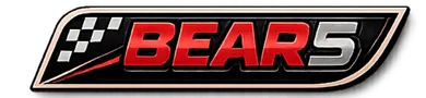 Bear5